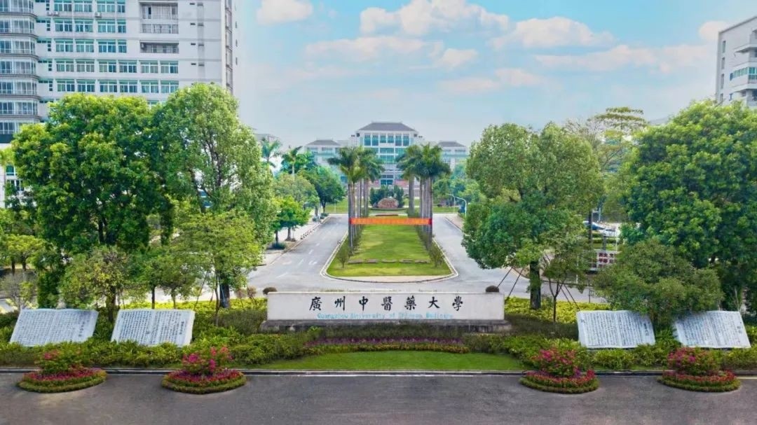 1731997778156 图片5